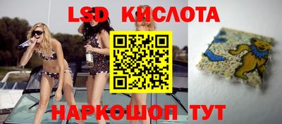 индика Можайск