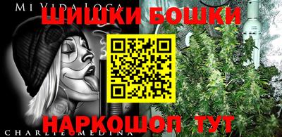 индика Можайск