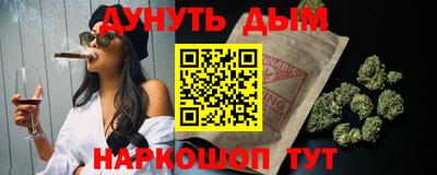 индика Можайск