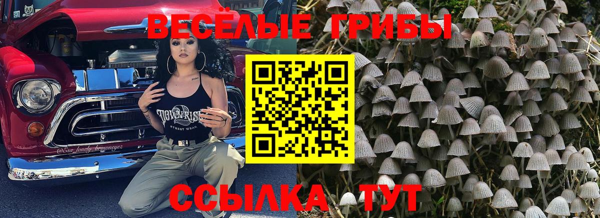 Псилоцибиновые грибы ЛСД  Вход с VPN  Уварово 